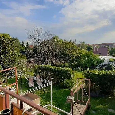 Mitra Vendeghaz *
